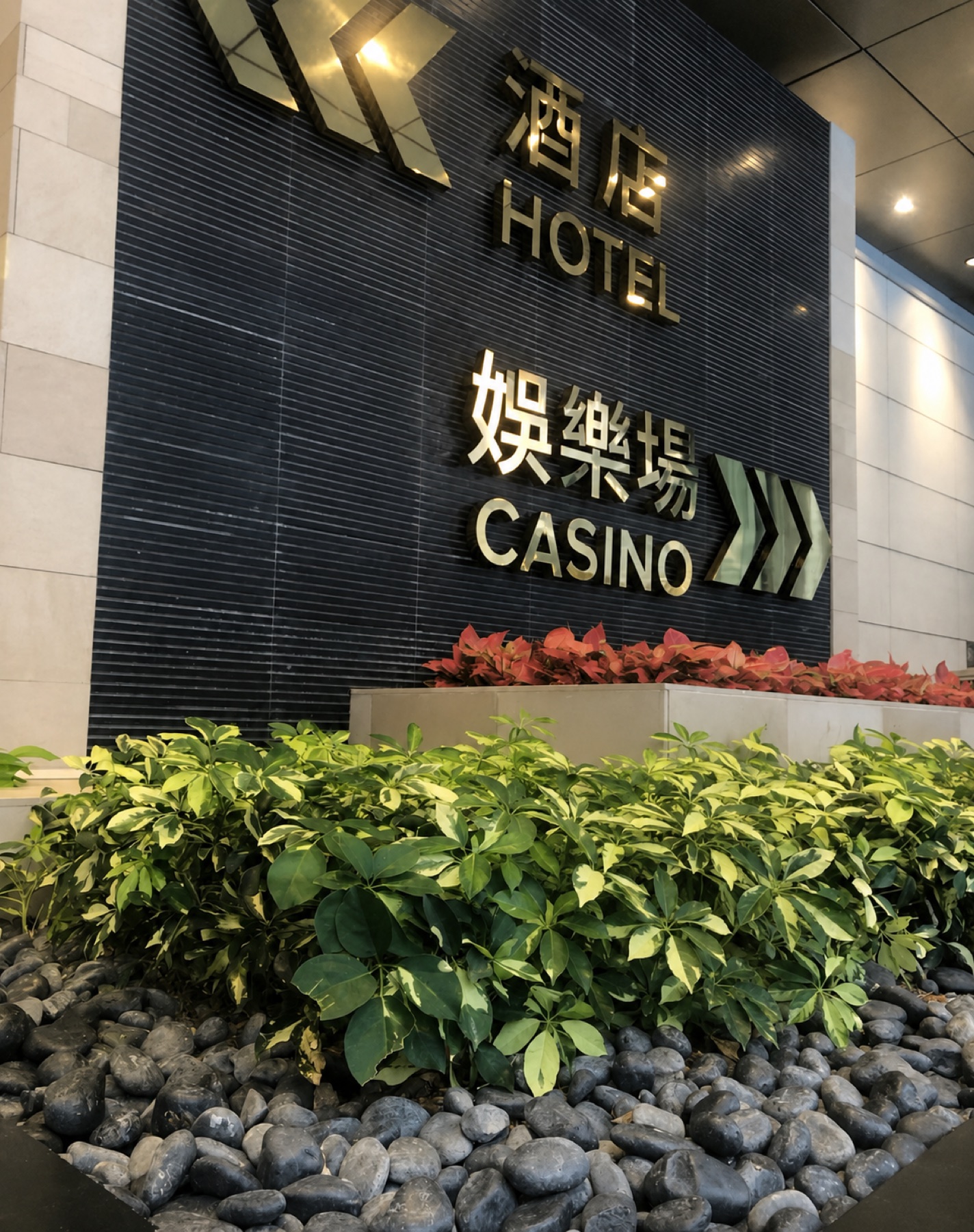 博源国际隐私与使用说明